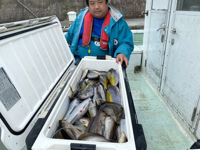 ウメイロ・イサギ(イサキ)