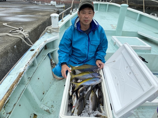 ウメイロ・イサギ(イサキ)