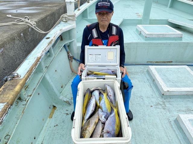 ウメイロ・イサギ(イサキ)