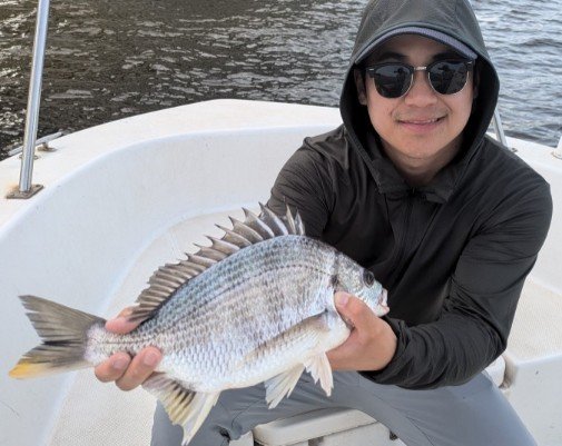 キビレ(キチヌ)