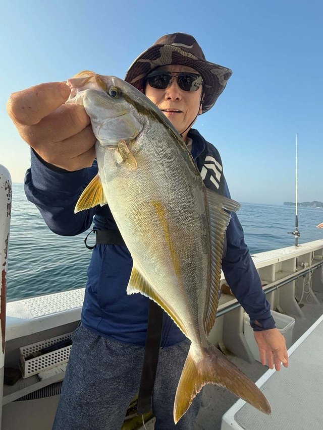 ショゴ(カンパチ)