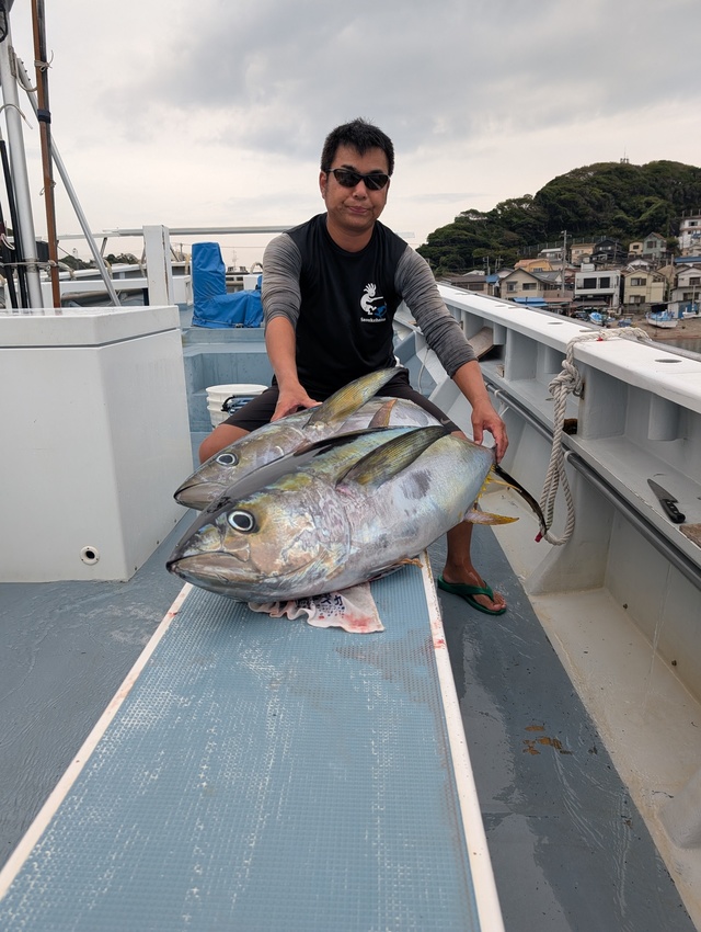 キハダマグロ(キハダ)