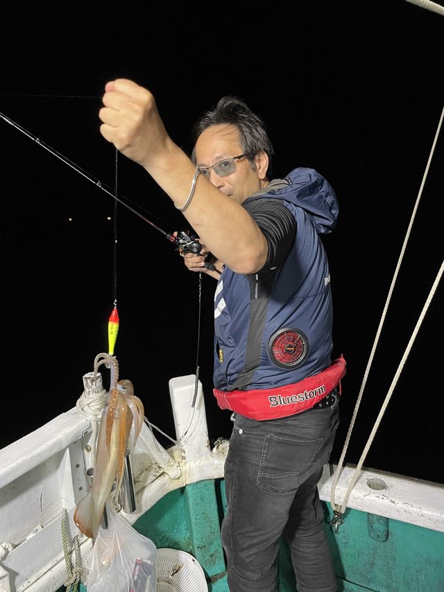 スルメ(スルメイカ)