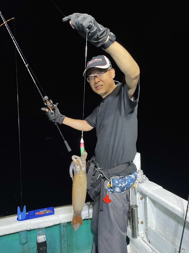 スルメ(スルメイカ)