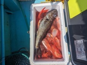 クロムツ・キンメ(キンメダイ)