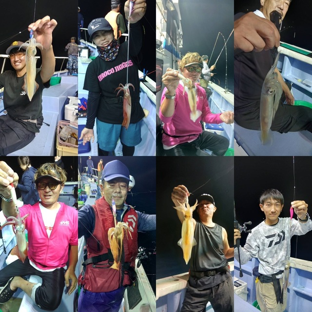 マルイカ(ケンサキイカ)