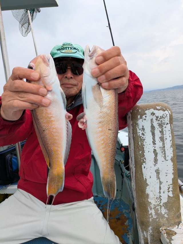 アマダイ(アカアマダイ)