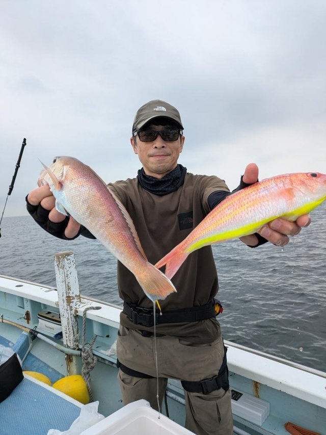 アマダイ(アカアマダイ)