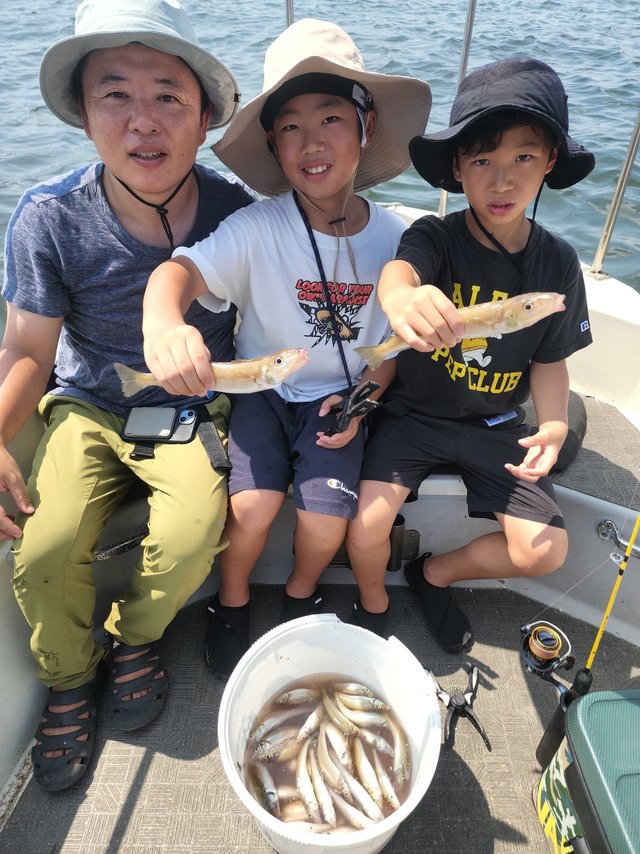 キス(シロギス)