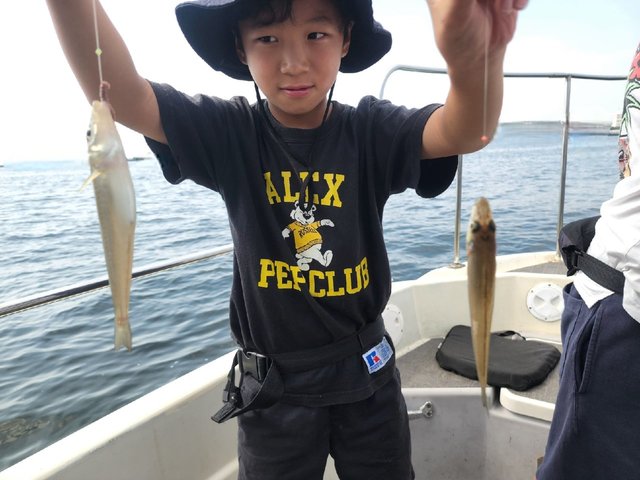 キス(シロギス)