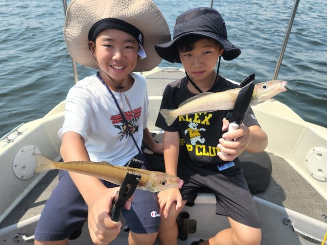 キス(シロギス)