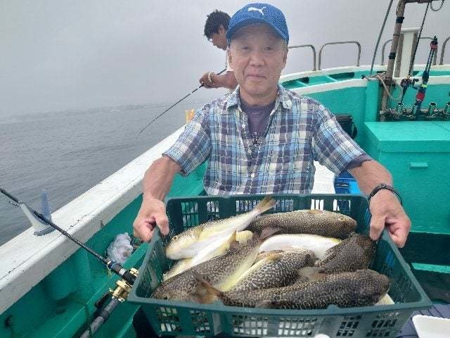 ショウサイフグ