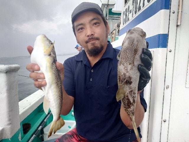 ショウサイフグ