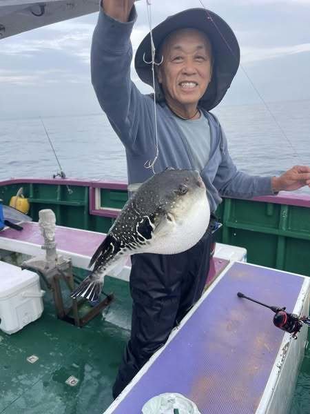 ショウサイフグ