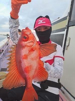 キントキ(チカメキントキ)