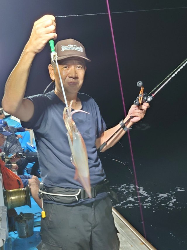 シロイカ(ケンサキイカ)