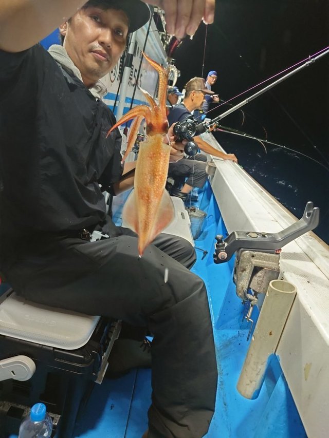 シロイカ(ケンサキイカ)