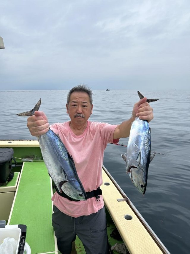 ヒラソーダ(ヒラソウダ)