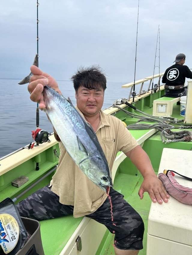 ヒラソーダ(ヒラソウダ)