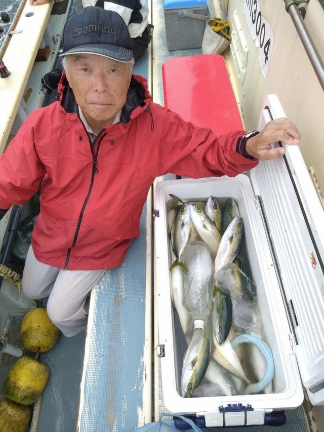 イナダ(ブリ)・カンパチ