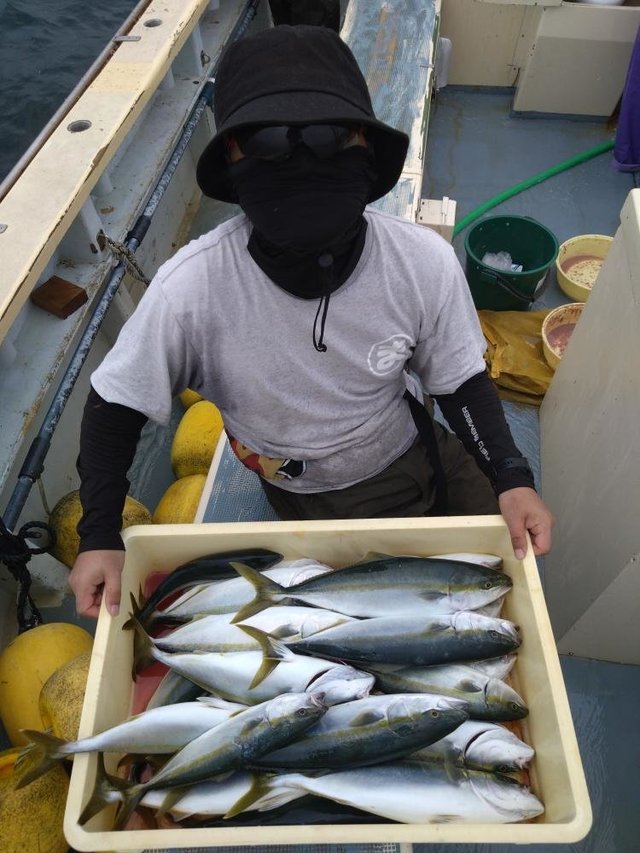 イナダ(ブリ)・カンパチ