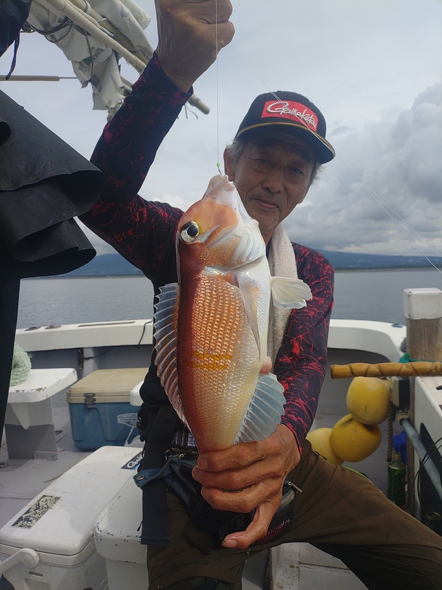 アマダイ(アカアマダイ)