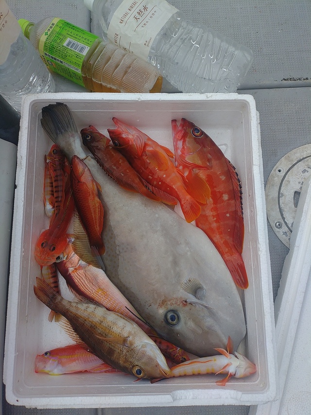 アカハタ・メイチダイ・アマダイ(アカアマダイ)・ウスバハギ