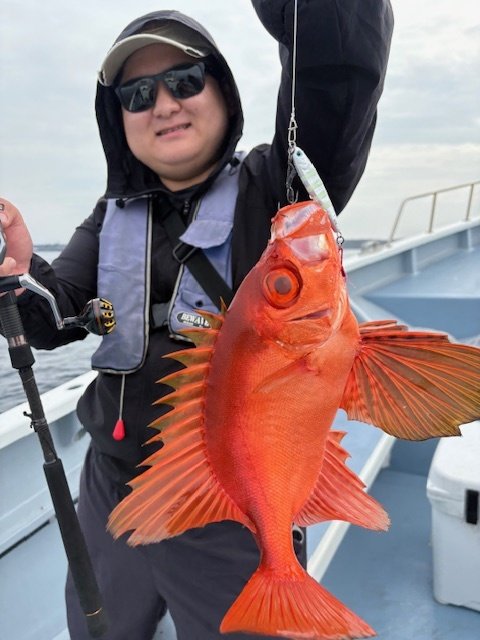 キントキ(チカメキントキ)