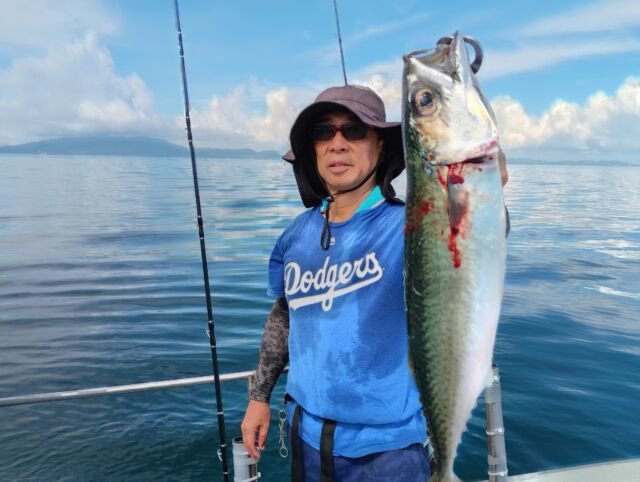 サバ(ゴマサバ)