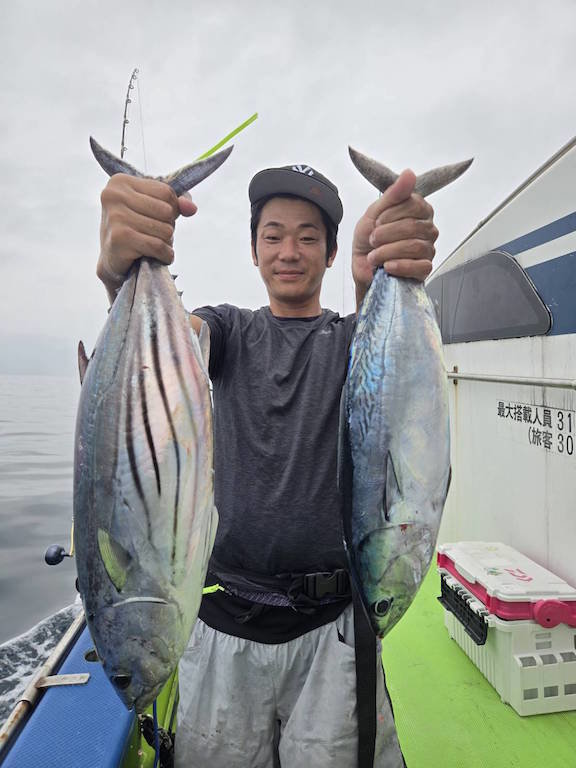 カツオ・ソーダ(ヒラソウダ)