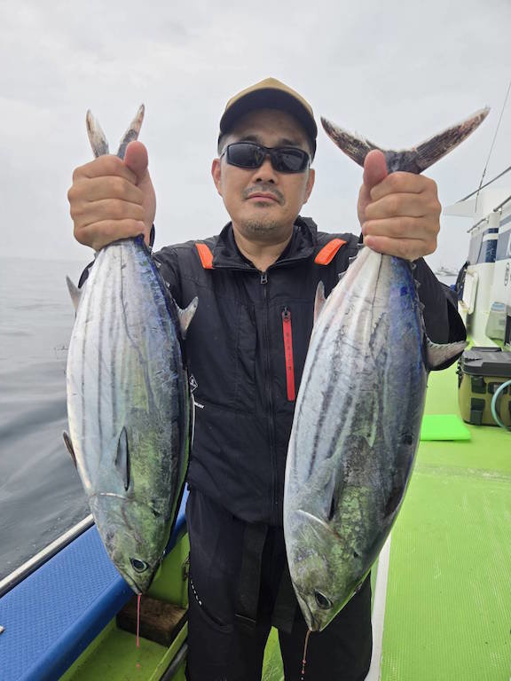 カツオ・ソーダ(ヒラソウダ)