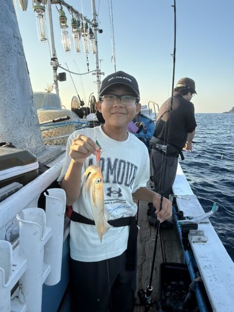 マイカ(ケンサキイカ)