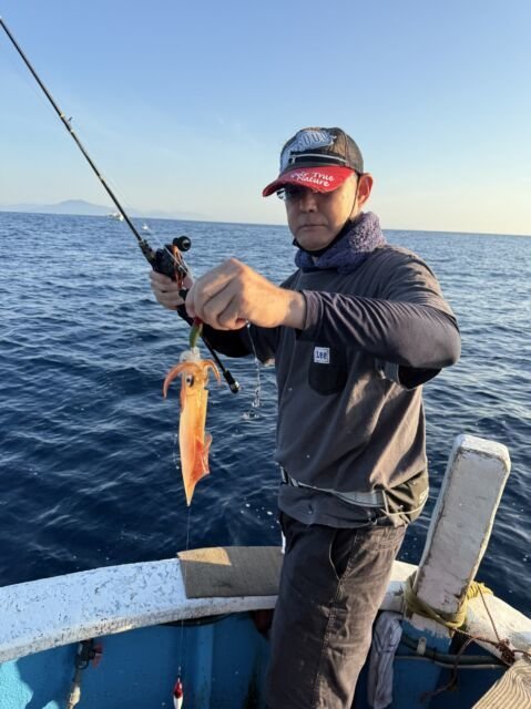 マイカ(ケンサキイカ)