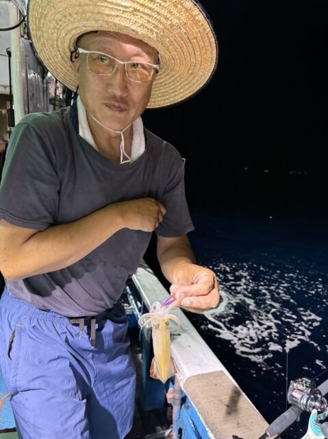 マイカ(ケンサキイカ)