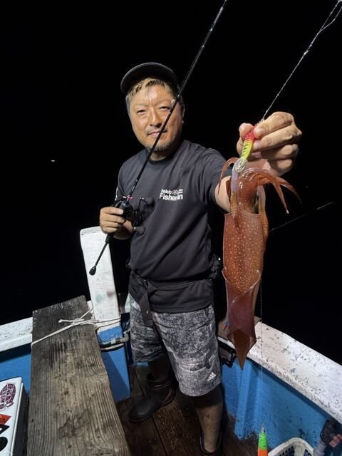 マイカ(ケンサキイカ)