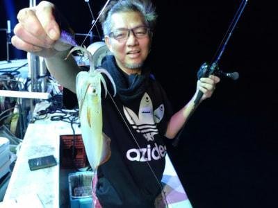 マイカ(ケンサキイカ)