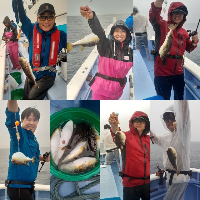 ショウサイフグ