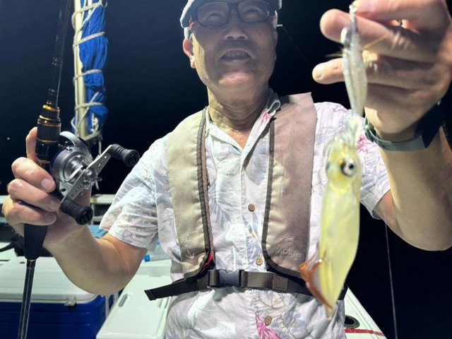 アカイカ(ケンサキイカ)