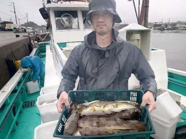 ショウサイフグ