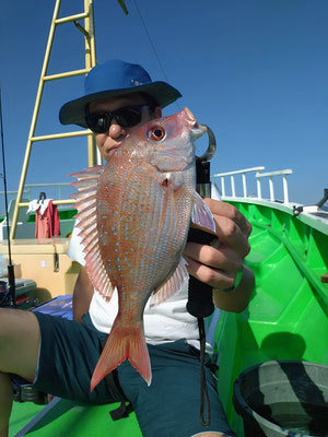 ハナダイ(チダイ)