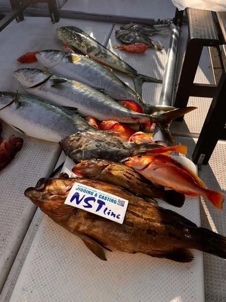 ホウキハタ・ブリ・シイラ・ガシラ(カサゴ)・マトウダイ