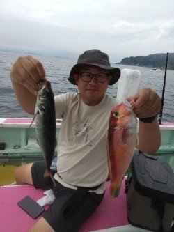 アジ(マアジ)・アマダイ(アカアマダイ)