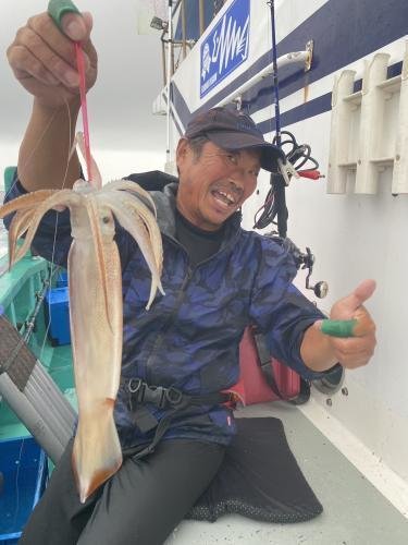 スルメ(スルメイカ)