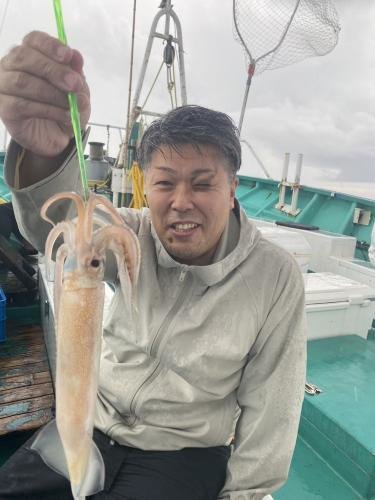 スルメ(スルメイカ)