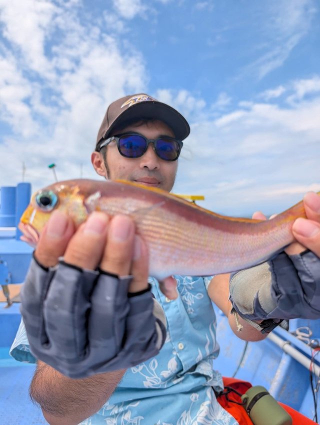 アマダイ(アカアマダイ)