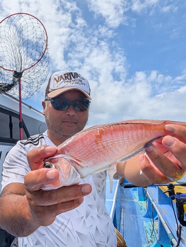 アマダイ(アカアマダイ)