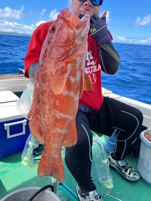 アカジン(スジアラ)