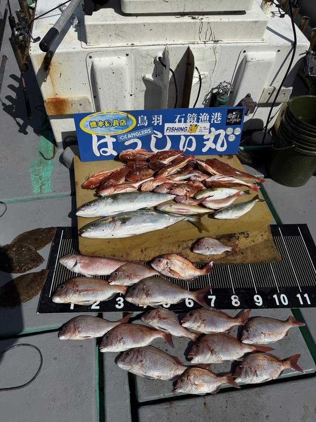 タイ(マダイ)・イナダ(ブリ)・シロアマダイ