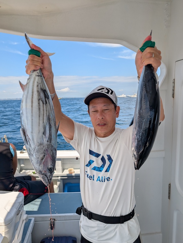 ホンガツオ(カツオ)