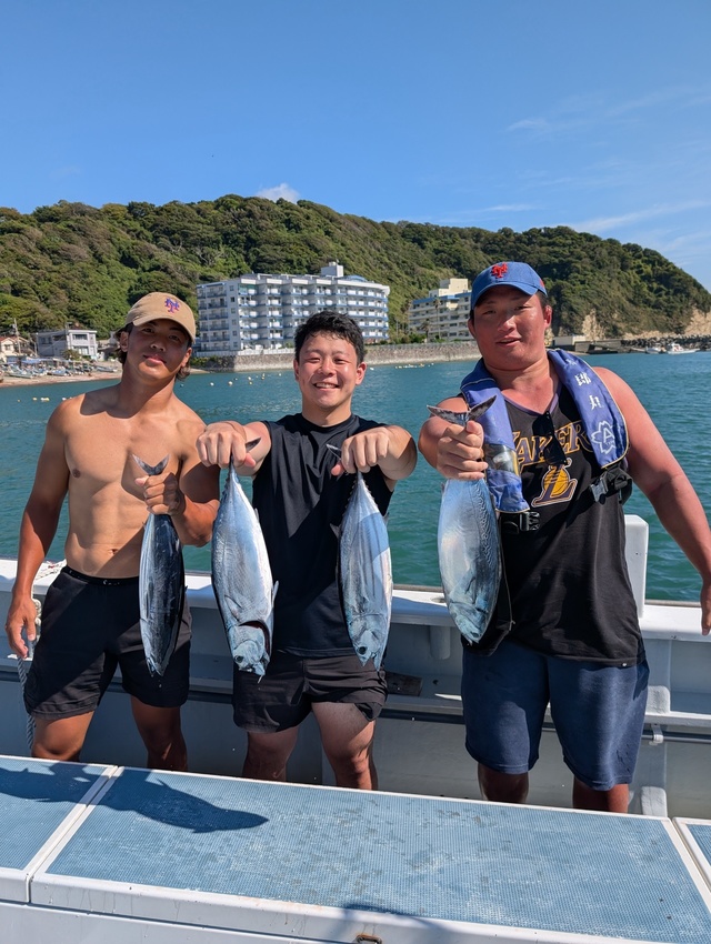 ホンガツオ(カツオ)